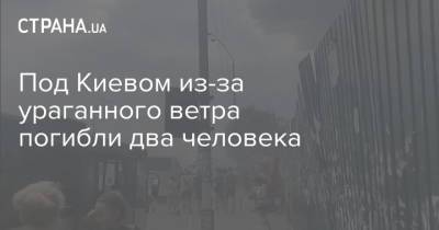 Под Киевом из-за ураганного ветра погибли два человека