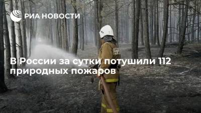 Лесопожарные службы в России за сутки потушили 112 природных пожаров на площади 46 тысяч гектаров