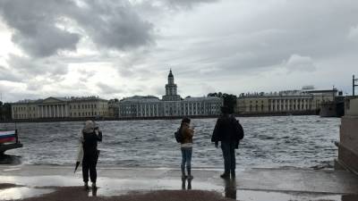Петербургское МЧС предупредило об усилении ветра в воскресенье вечером