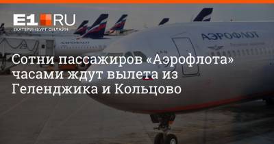 Сотни пассажиров «Аэрофлота» часами ждут вылета из Геленджика и Кольцово