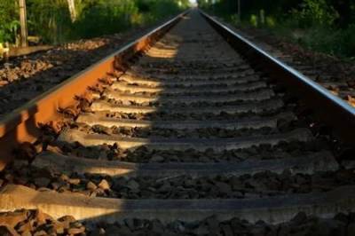 В Приамурье нашли тело пропавшего без вести мужчины после столкновения поездов