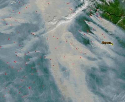 132 «контролируемых» лесных пожара действуют на территории России