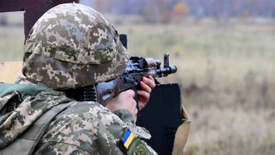 Украинские военные разместили "Осу" у Вершины