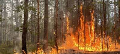 В Карелии бушуют 22 лесных пожара