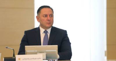 Выступление главы МВД Грузии в парламенте под угрозой
