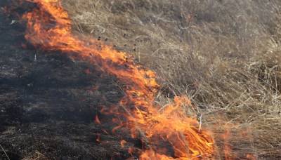 МЧС предлагает разрешить сжигать на дачах сухую траву в 15 м от построек