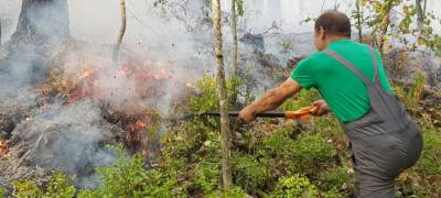 Добровольцам объяснили, как они могут помочь тушить лесные пожары в Карелии