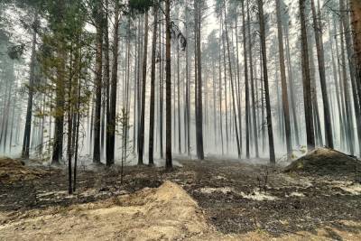 Стихийное бедствие: пожары в Карелии тушат, но не могут потушить
