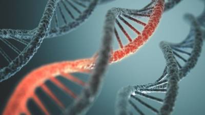 Ученые обнаружили в почве ДНК неизвестного происхождения