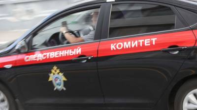 Следователи инициируют передачу в СК дела о наезде на детей в Москве
