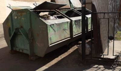 Жители Ачинска обнаружили в мусорном баке труп младенца