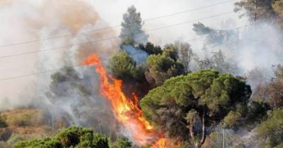 Пожар в Каталонии уничтожил 400 га природного парка (ФОТО)