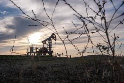 В России назвали время выхода на докризисный уровень добычи нефти