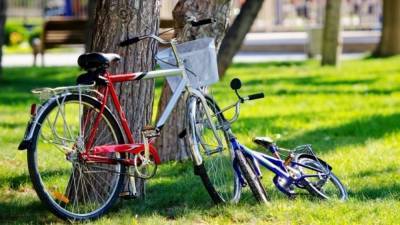 Более трети опрошенных в Петербурге предпочитают велосипед для поездок на работу