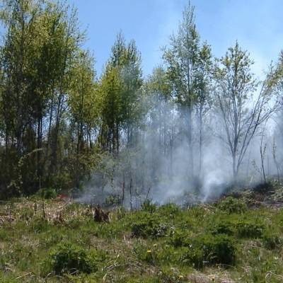 МЧС предупредило о высокой пожароопасности в Подмосковье