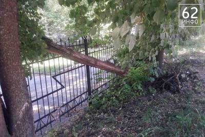 Жительница Рязани пожаловалась на поваленные деревья около больницы №11