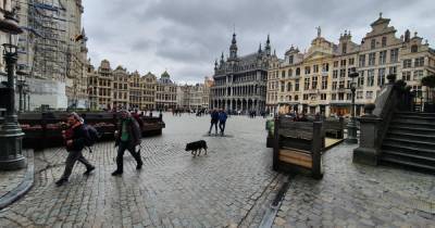 Бельгия открыла границы для украинских путешественников: что нужно для въезда