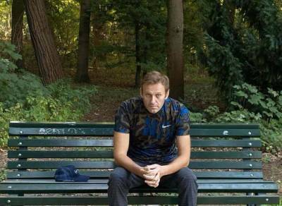 В МИД России назвали действия ОЗХО в ситуации с Навальным чередой подлогов