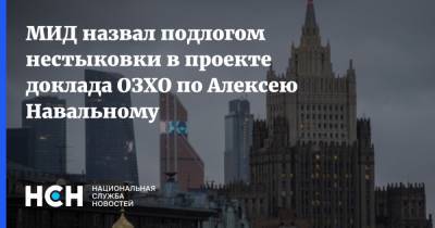 МИД назвал подлогом нестыковки в проекте доклада ОЗХО по Алексею Навальному