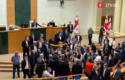 «Аморальные действия» — оппозиция Грузии сорвала выступление главы МВД
