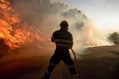 В Испании из-за окурка выгорело 400 гектаров природного парка