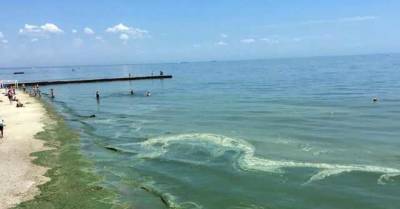 На популярном пляже в Одессе позеленело море: в чем опасность