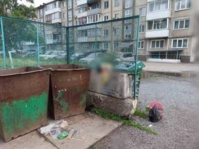 В мусорном баке в Красноярском крае нашли труп новорожденной девочки
