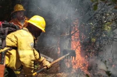 Жителей поселка в Карелии эвакуируют из-за угрозы лесного пожара