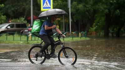 В Гидрометцентре предупредили о дождях в Московском регионе в понедельник