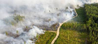 Лесные пожары в Карелии разрастаются, на помощь готовы прийти пожарные из Санкт-Петербурга