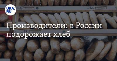 Производители: в России подорожает хлеб