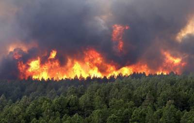 В России ликвидируют лесные пожары на площади почти 820 тыс. га