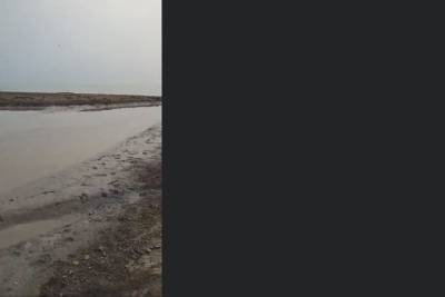 «ЧП Сахалин»: нерестовая река на Сахалине превратилась в мазутно-грязную жижу