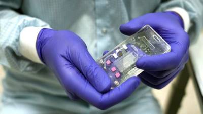 Роспотребнадзор разрабатывает биочип для тестирования на коронавирус