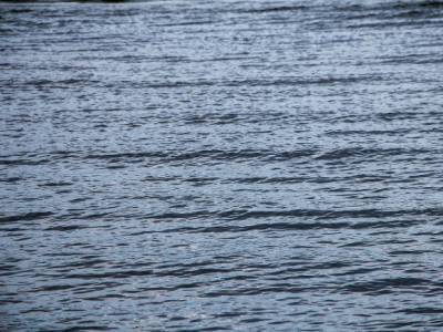 Три человека утонули на Сахалине за выходные