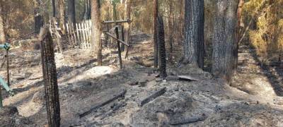 Деревенское кладбище после лесного пожара в Карелии превратилось в пепелище (ФОТОФАКТ)