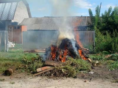 В России предлагают разрешить сжигать траву в 15 метрах от дома