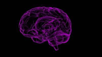 Ученые УрФУ нашли способ остановить развитие болезней Альцгеймера и Паркинсона