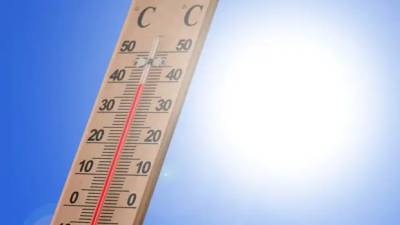 Вильфанд перечислил регионы России с аномальной жарой в начале недели