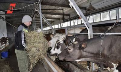 Свердловские фермеры: законопроект о сбыте сельхозпродукции поможет агротуризму