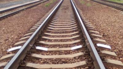 Трое мужчин погибли под колесами поезда в Московской области
