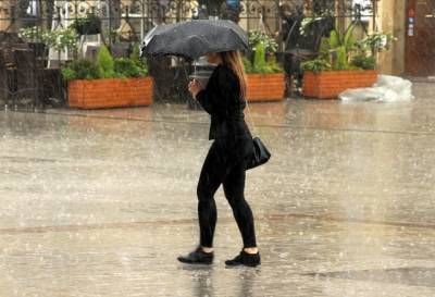 Москвичей предупредили о грозе и кратковременных дождях в понедельник