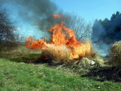 Возле Бригадировки тушили лесной пожар площадью почти 8 гектаров