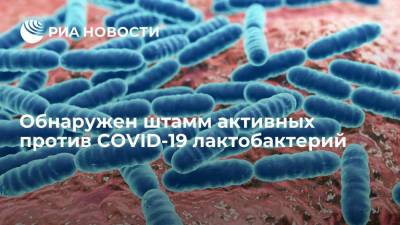 В Нижегородском институте эпидемиологии выявили активный против COVID-19 штамм лактобацилл