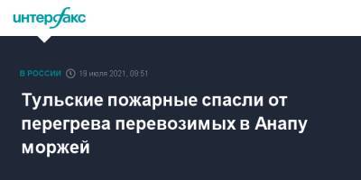 Тульские пожарные спасли от перегрева перевозимых в Анапу моржей