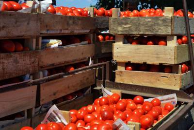 Астраханским фермерам могут разрешить торговать продуктами на участках