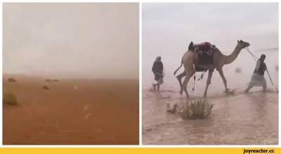 В ОАЭ в 50-градусную жару искусственно вызвали проливные дожди и затопили пустыню
