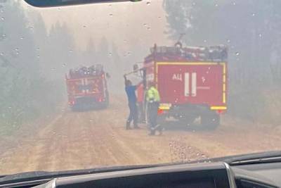 Площадь лесных пожаров в Карелии увеличилась до 4,3 тысяч га