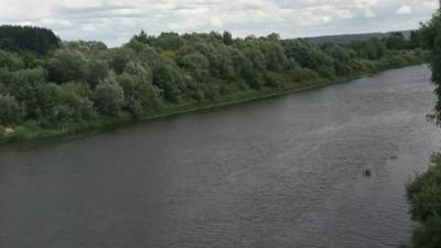 Четырехлетний мальчик погиб в реке на глазах семьи в Саратовской области