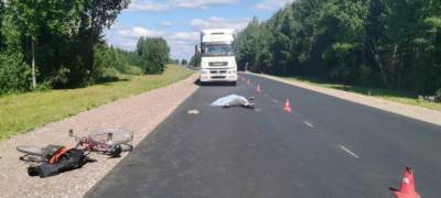 Водитель из Карелии на «Камазе» насмерть сбил велосипедиста в Архангельской области